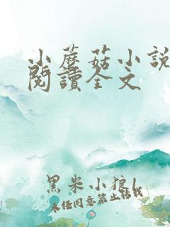 小蘑菇小说免费阅读全文