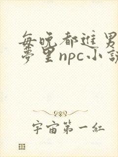 每晚都进男神的梦里npc小说