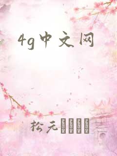 4g中文网