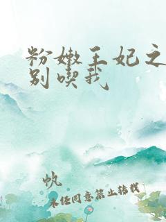 粉嫩王妃之殿下别吃我