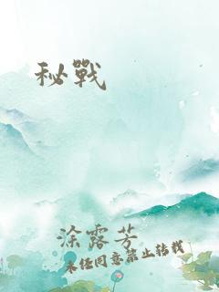秘战
