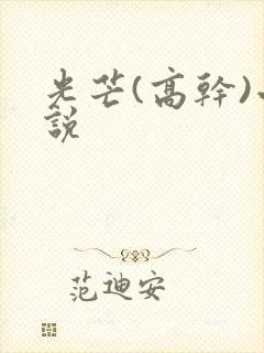 光芒(高干)小说