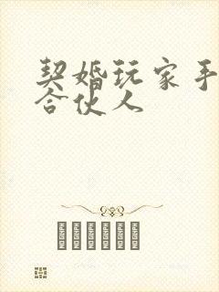 契婚玩家手册之合伙人