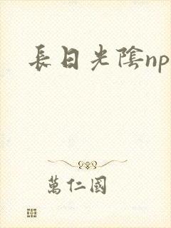 长日光阴np