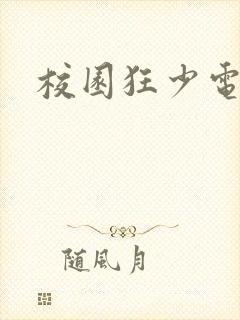 校园狂少电子书