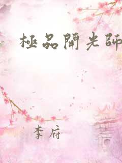极品开光师阅读