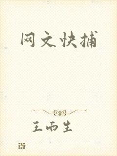 网文快捕