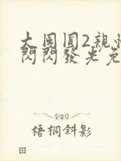 大团圆2亲情会闪闪发光免费