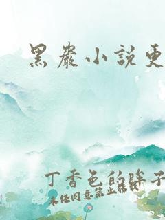 黑岩小说更新吧