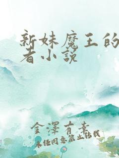 新妹魔王的契约者小说