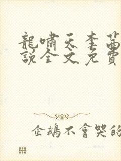 龙啸天李茜茜小说全文免费阅读