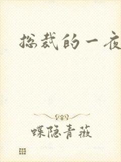 总裁的一夜情人