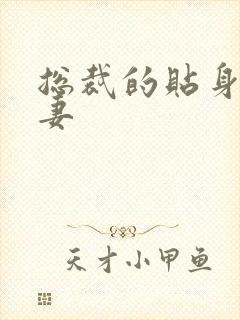 总裁的贴身下堂妻