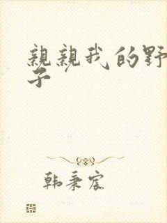 亲亲我的野猪王子