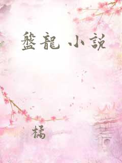 盘龙 小说