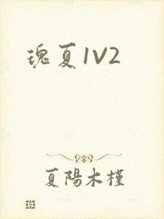 瑰夏1V2