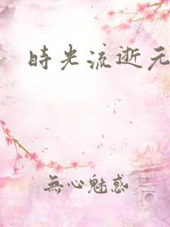 时光流逝元龙