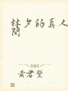 林夕的真人娃娃间