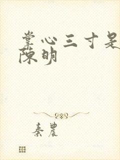 掌心三寸是人间陈明