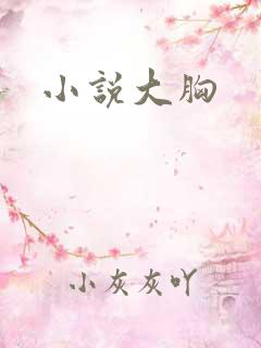 小说大胸