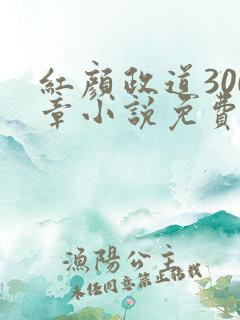 红颜政道300章小说免费阅读