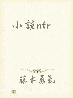 小说ntr