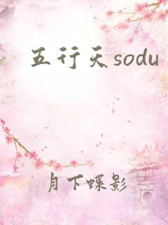 五行天sodu