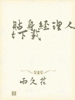 贴身经理人txt下载