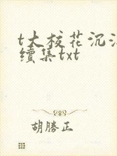 t大校花沉浮录续集txt