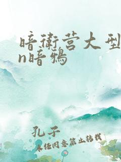 暗卫营大型hpn暗鸦