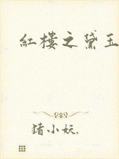 红楼之黛玉之弟