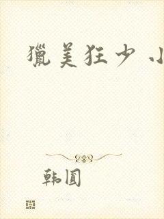 猎美狂少 小说
