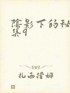 阴影下的秘密全集9