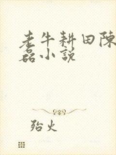 老牛耕田陈雪王磊小说