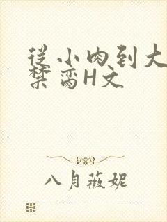 从小肉到大师傅禁脔H文