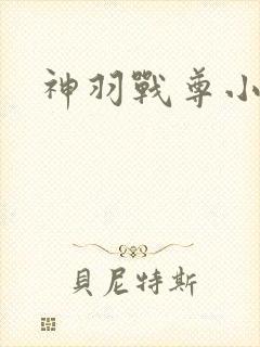 神羽战尊小说
