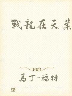 战龙在天叶凡