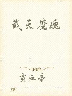武天魔魂