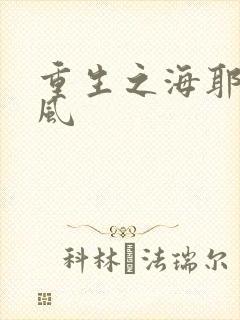 重生之海耶斯旋风