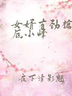 女婿有劲枪枪到底小峰