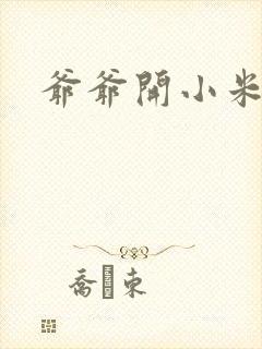 爷爷开小米的处