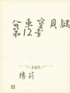 公车宝贝腿开点第12章