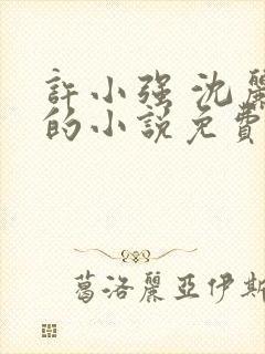 许小强 沈丽娟的小说免费阅读