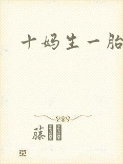 十妈生一胎