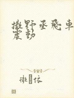 撒野丞飞车道具震动