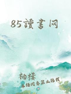 85读书网