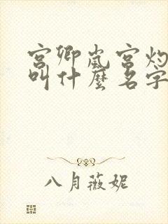 宫卿岚宫灼小说叫什么名字