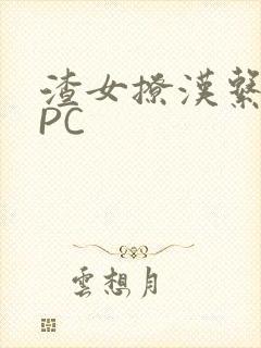 渣女撩汉系统NPC