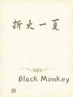 折火一夏
