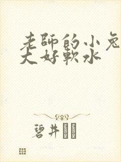老师的小兔子好大好软水